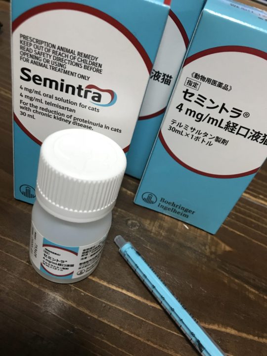 セミントラ