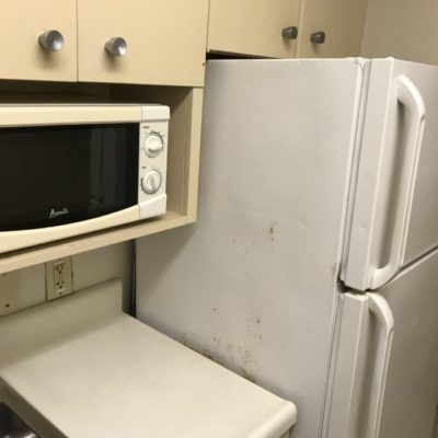 レンジと冷蔵庫