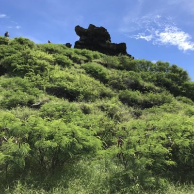 山の上に見えます