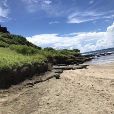 すぐ下のビーチ