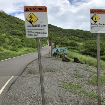 最初は舗装道路を歩く