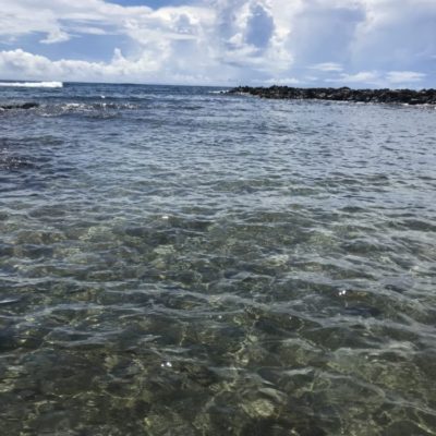 水がキレイです